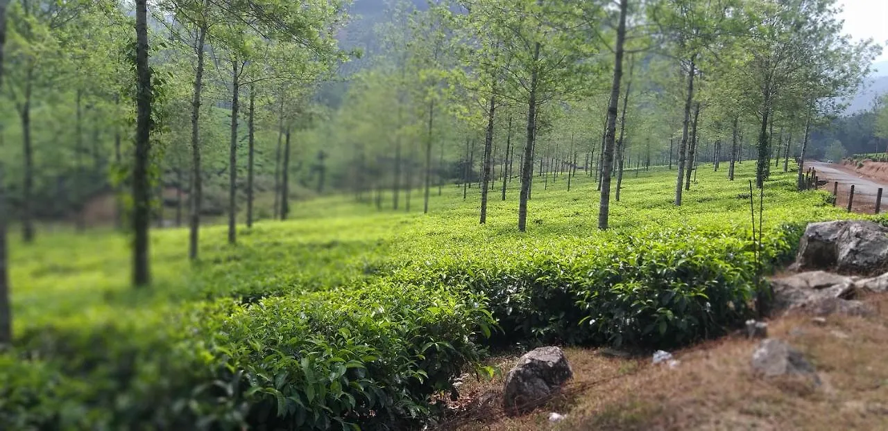 Spice Cottage Homestay Thekkady India